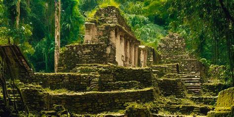  Den mystiska försvinnandet av den Maya-stammen i Chichen Itza: En berättelse om politisk instabilitet och ekologisk kollaps